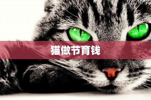 貓做節育錢