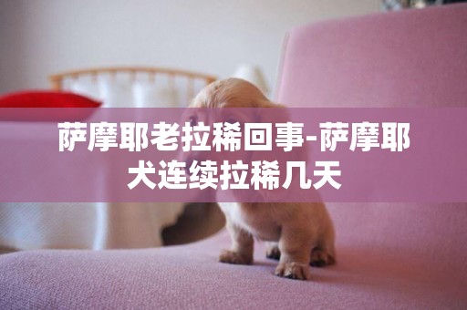 薩摩耶老拉稀回事-薩摩耶犬連續拉稀幾天