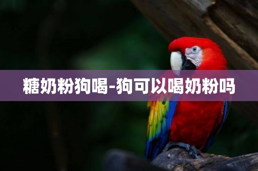 糖奶粉狗喝-狗可以喝奶粉嗎