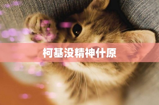 柯基沒精神什原