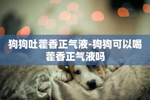 狗狗吐藿香正氣液-狗狗可以喝藿香正氣液嗎