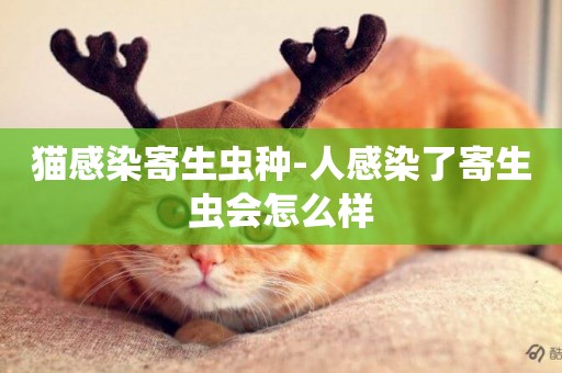 貓感染寄生蟲種-人感染了寄生蟲會怎么樣