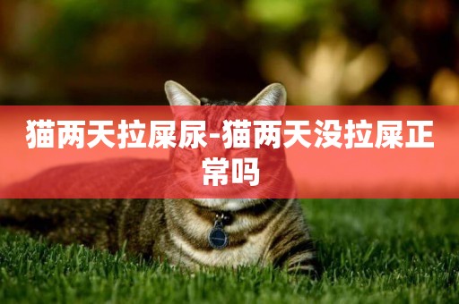 貓兩天拉屎尿-貓兩天沒拉屎正常嗎