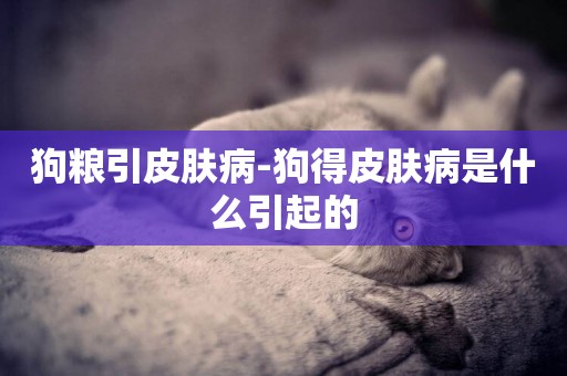 狗糧引皮膚病-狗得皮膚病是什么引起的