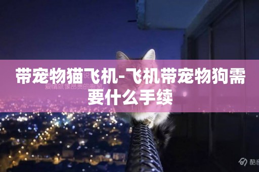帶寵物貓飛機-飛機帶寵物狗需要什么手續
