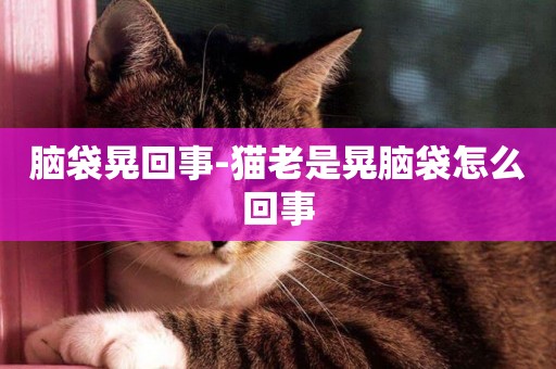 腦袋晃回事-貓老是晃腦袋怎么回事