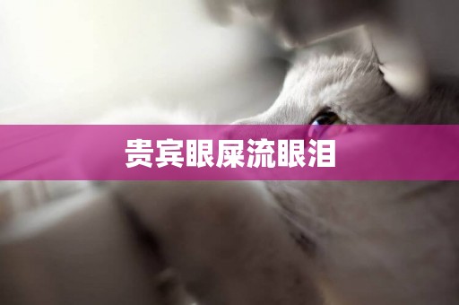 貴賓眼屎流眼淚