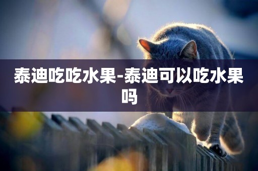 泰迪吃吃水果-泰迪可以吃水果嗎