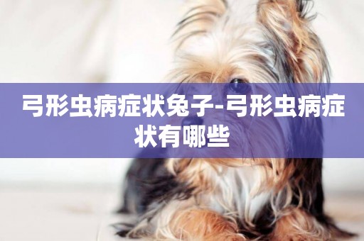 弓形蟲病癥狀兔子-弓形蟲病癥狀有哪些