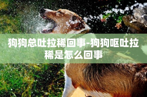 狗狗總吐拉稀回事-狗狗嘔吐拉稀是怎么回事