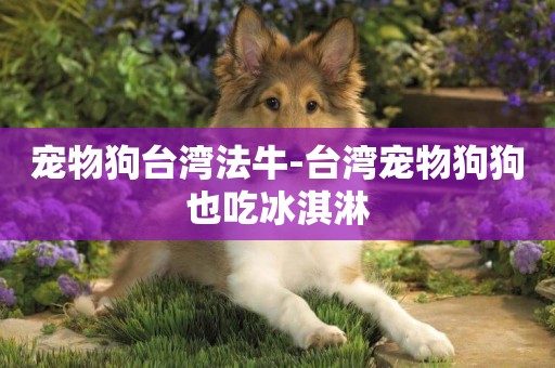 寵物狗臺灣法牛-臺灣寵物狗狗也吃冰淇淋