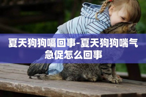 夏天狗狗嗝回事-夏天狗狗喘氣急促怎么回事