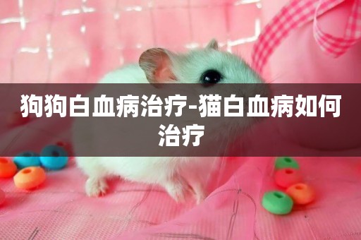 狗狗白血病治療-貓白血病如何治療