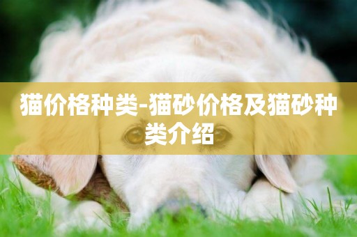 貓價格種類-貓砂價格及貓砂種類介紹