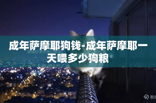 成年薩摩耶狗錢-成年薩摩耶一天喂多少狗糧