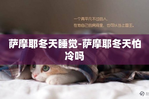 薩摩耶冬天睡覺-薩摩耶冬天怕冷嗎