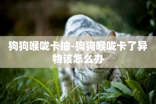狗狗喉嚨卡抽-狗狗喉嚨卡了異物該怎么辦