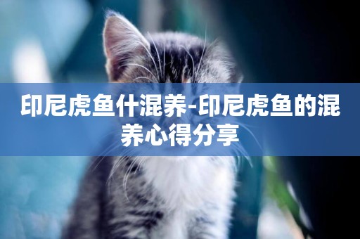 印尼虎魚什混養-印尼虎魚的混養心得分享