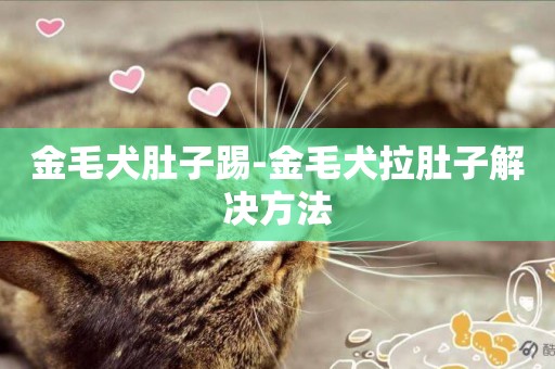 金毛犬肚子踢-金毛犬拉肚子解決方法