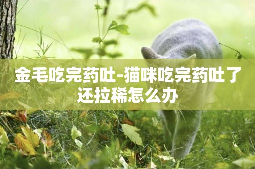 金毛吃完藥吐-貓咪吃完藥吐了還拉稀怎么辦