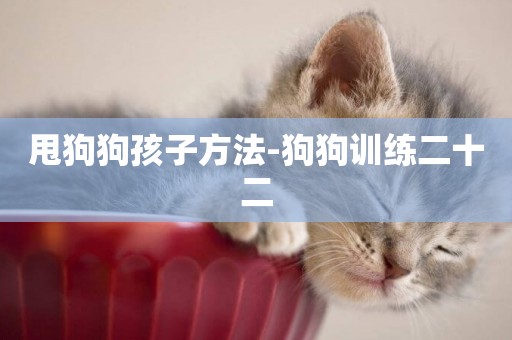 甩狗狗孩子方法-狗狗訓練二十二