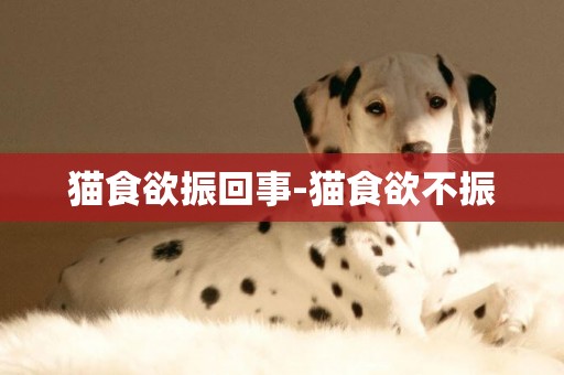 貓食欲振回事-貓食欲不振