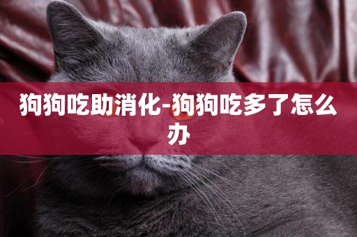 狗狗吃助消化-狗狗吃多了怎么辦