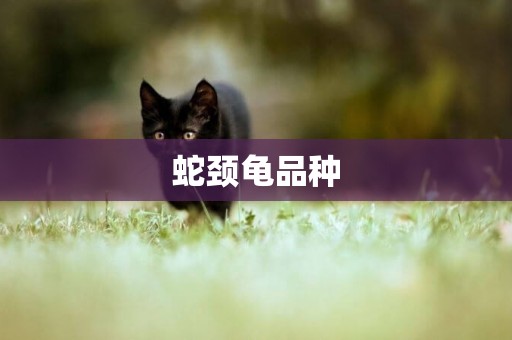 蛇頸龜品種