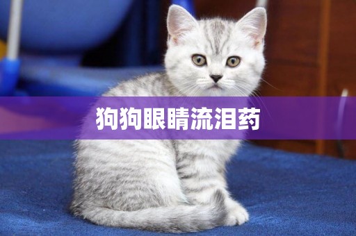 狗狗眼睛流淚藥