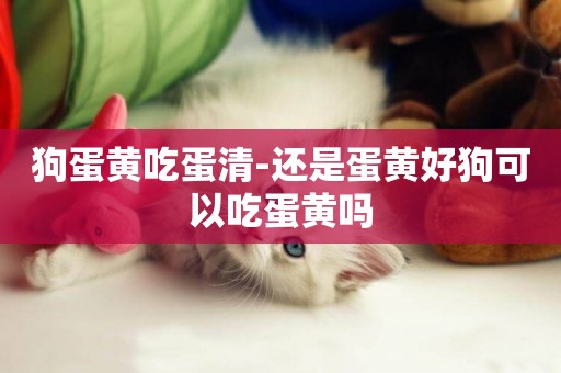狗蛋黃吃蛋清-還是蛋黃好狗可以吃蛋黃嗎