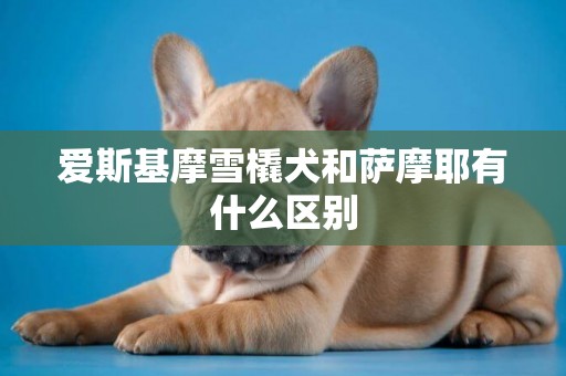 愛斯基摩雪橇犬和薩摩耶有什么區別