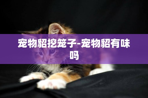 寵物貂挖籠子-寵物貂有味嗎