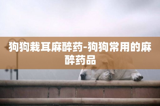 狗狗栽耳麻醉藥-狗狗常用的麻醉藥品