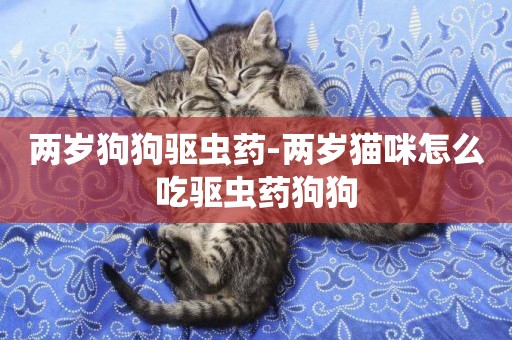 兩歲狗狗驅蟲藥-兩歲貓咪怎么吃驅蟲藥狗狗