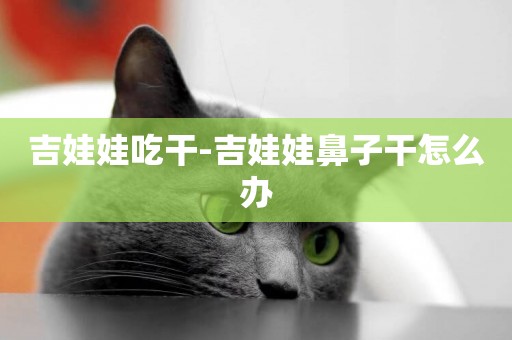 吉娃娃吃干-吉娃娃鼻子干怎么辦