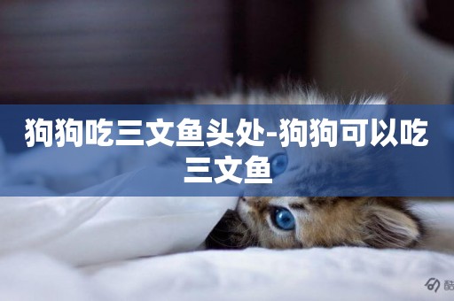 狗狗吃三文魚頭處-狗狗可以吃三文魚