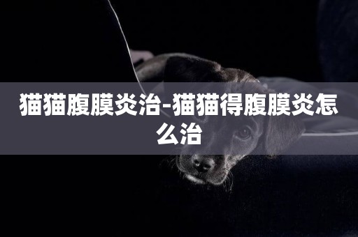貓貓腹膜炎治-貓貓得腹膜炎怎么治