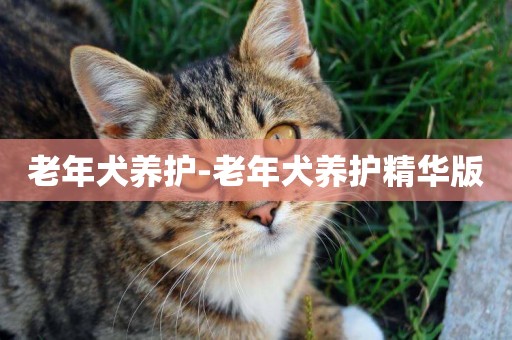 老年犬養護-老年犬養護精華版
