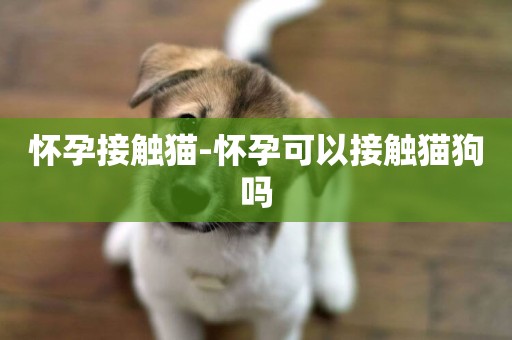 懷孕接觸貓-懷孕可以接觸貓狗嗎