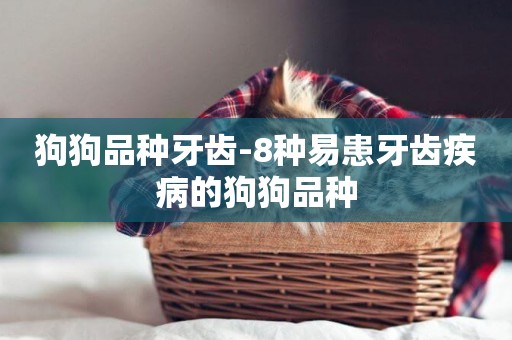 狗狗品種牙齒-8種易患牙齒疾病的狗狗品種