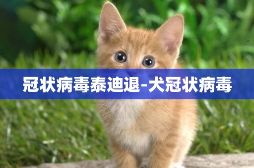冠狀病毒泰迪退-犬冠狀病毒