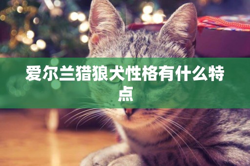 愛爾蘭獵狼犬性格有什么特點
