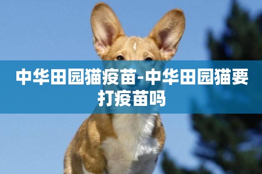中華田園貓疫苗-中華田園貓要打疫苗嗎