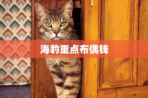海豹重點布偶錢