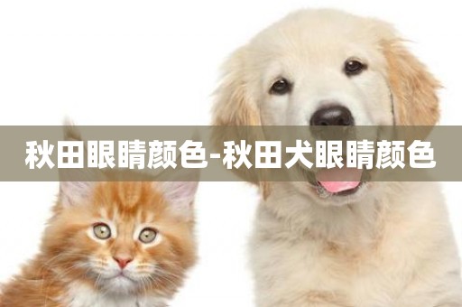 秋田眼睛顏色-秋田犬眼睛顏色