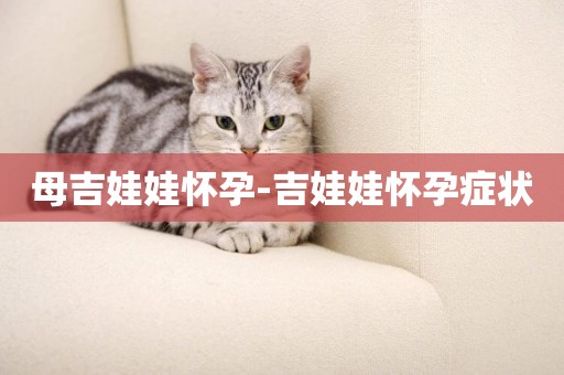 母吉娃娃懷孕-吉娃娃懷孕癥狀