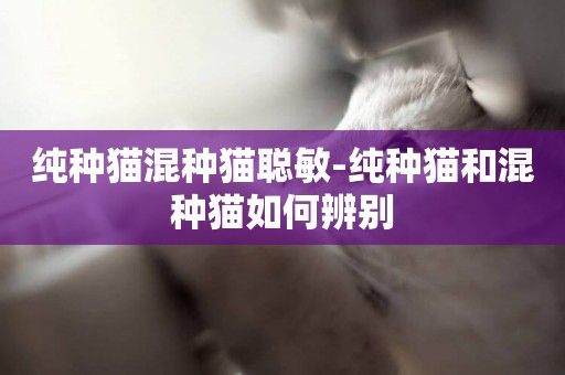 純種貓混種貓聰敏-純種貓和混種貓如何辨別