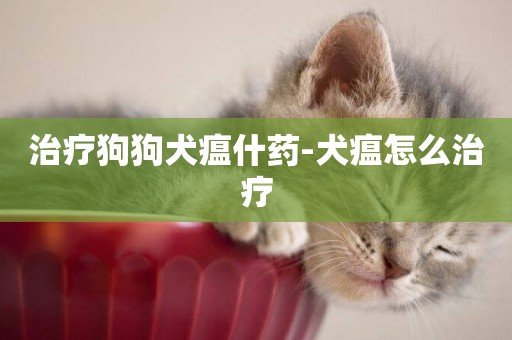 治療狗狗犬瘟什藥-犬瘟怎么治療