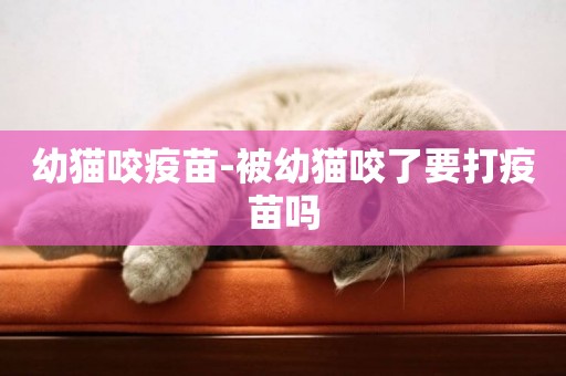 幼貓咬疫苗-被幼貓咬了要打疫苗嗎