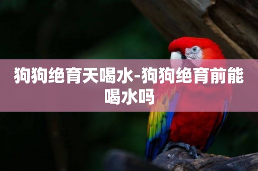 狗狗絕育天喝水-狗狗絕育前能喝水嗎